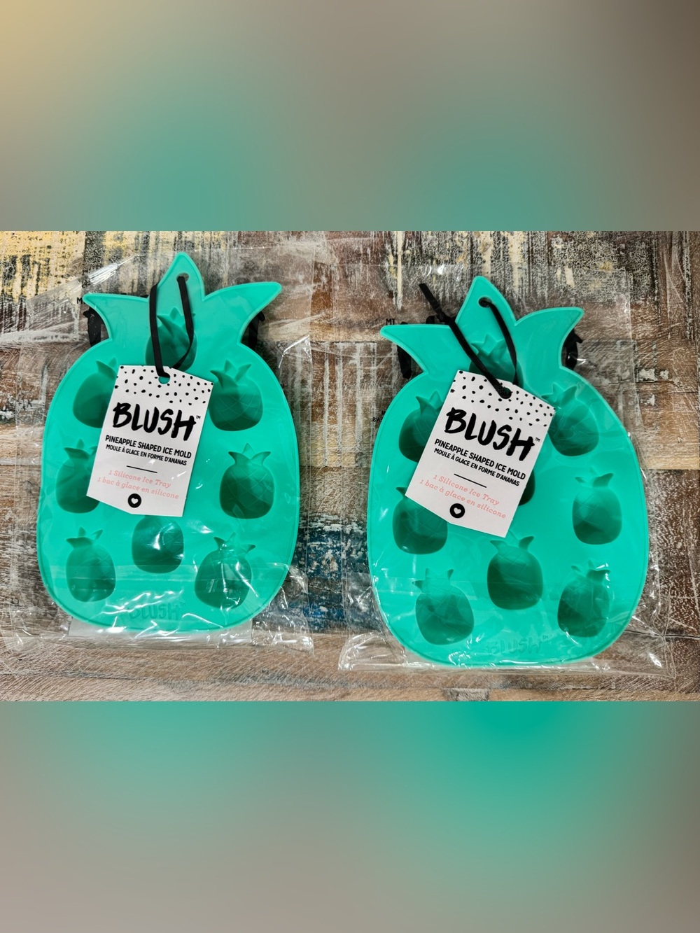 NWT 🔖Blush Pineapple Silicone Ice Molds Set of 2 New Turquoise